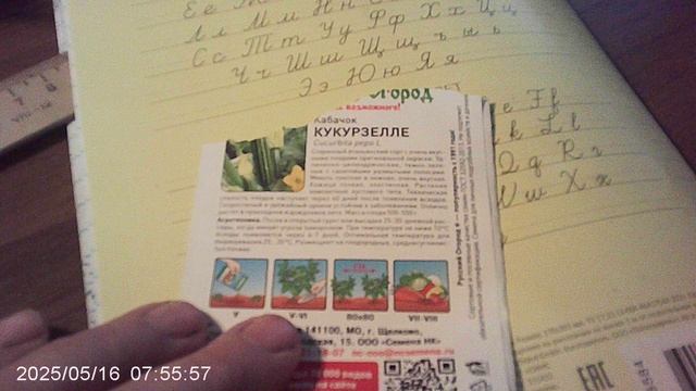 Делюсь умением читать агротехнику семян по пиктограммам: в этом случае - кабачки