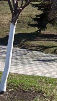 Пробежка для прекрасного самочувствия