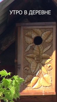 Утро в деревне