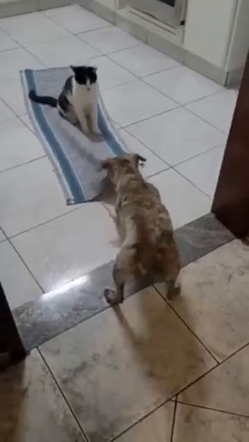 Что-то с чем-то🤣