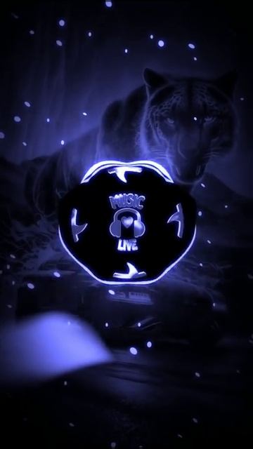 VID-20250107-WA0005