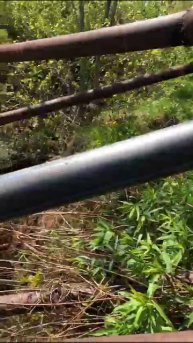 Смонтировали доп. дренаж на насосной СНТ "Шинник" Березовая Грива 10.06.18