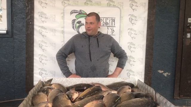 улов карпа у Виталия на большом водоёме