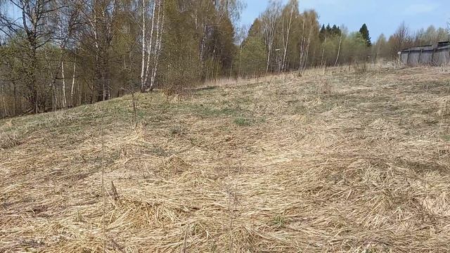 аукцион коверьянки