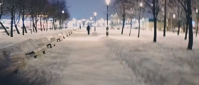 По зимней аллее вечером.