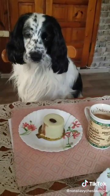 Жду папочку...)))