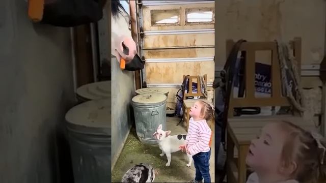 Райское детство