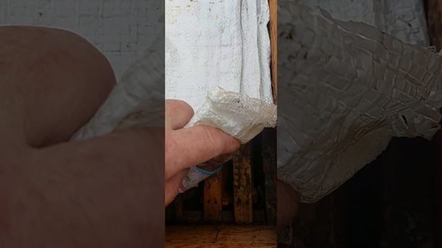 ПРИНЯЛИ МАТКУ ИЛИ НЕТ?