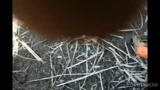 Старое урочище порадовало находками