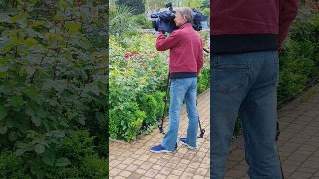 Сочи парк Ривьера, розарий...