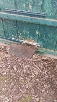 15 мая, +20 пчелки работают.