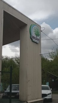 #САДЫ_СИБИРИ #репортаж 1000047731.mp4