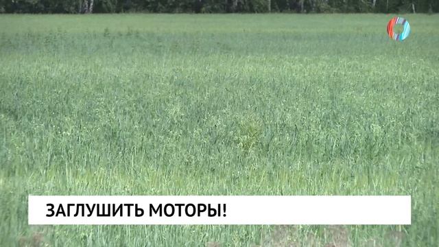 Заглушить моторы!