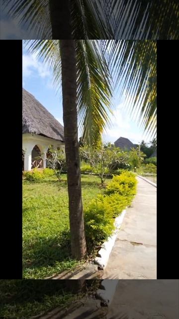 Отель Zanzibar Bay 4* Танзания
