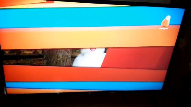 (Анонс И Рекламная Заставка) (Зима На Телеканале Сараф?