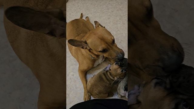1000402655.mp4
