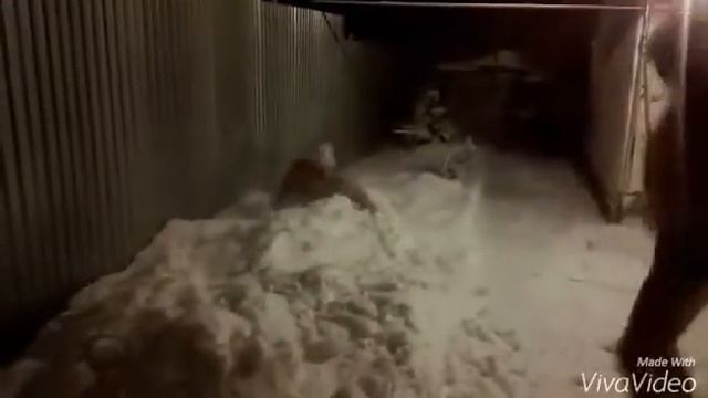 Банька и снежок полный .....