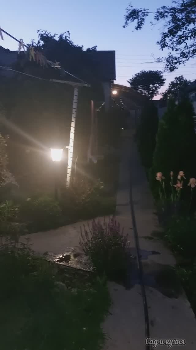 ПОЛИВАЮ НОЧЬЮ САД)