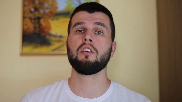 Какой ошейник выбрать для собаки