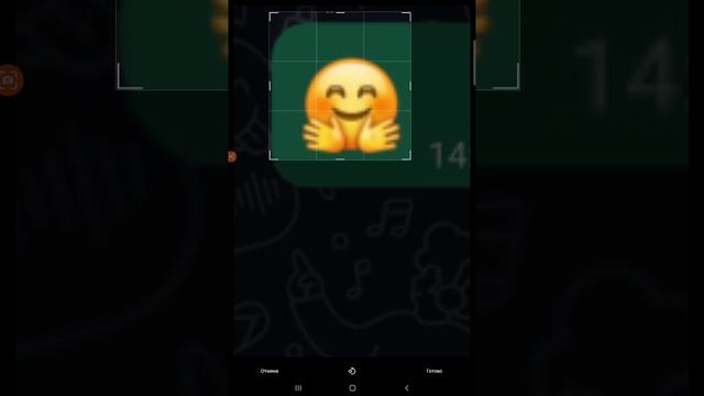 XRecorder_20250516_10.mp4