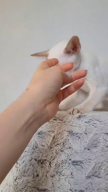 1000041806.mp4