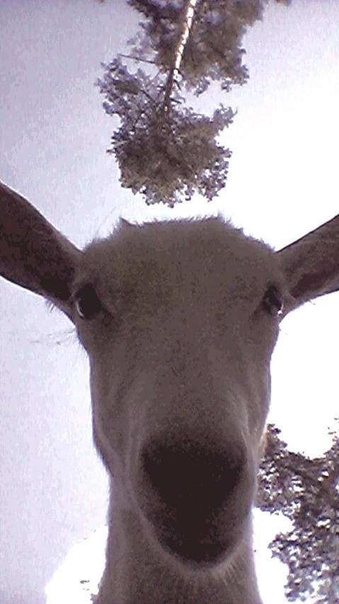VID_20250516_155306