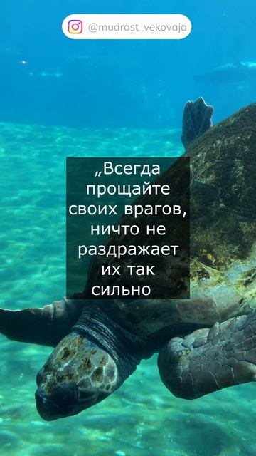 Цитаты ирландского писателя, Оскара Уайлда.