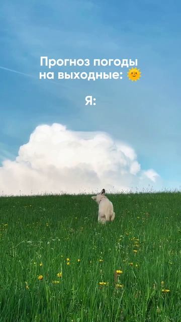 Отличных выходных 💚