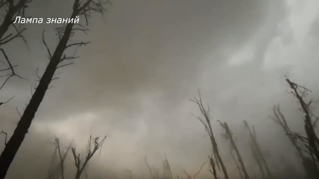 Видео с камеры боевика ВСУ (18+)