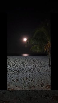 Отель Lux Marijani 5*. Танзания