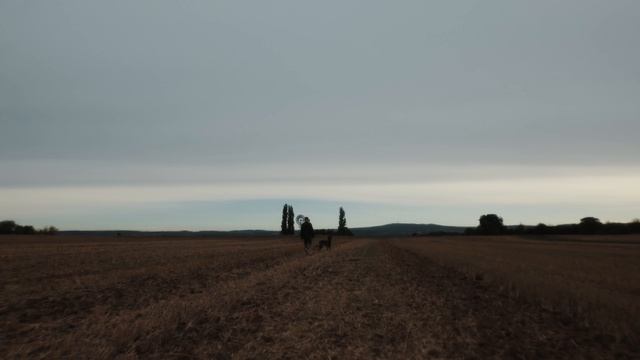 Calm Down with me in the Countryside