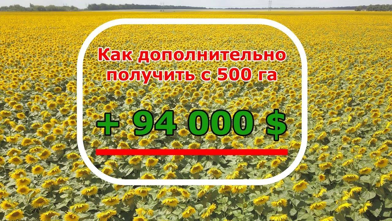 Сплошной посев подсолнечника от А до Я посевным комплексом ПАРТНЕР!