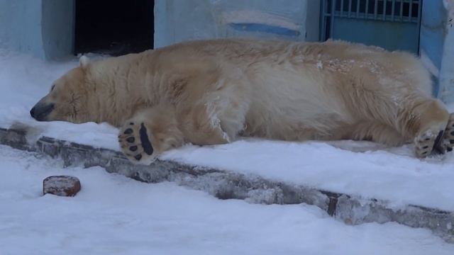 У Кая сончас. 12.12.2015