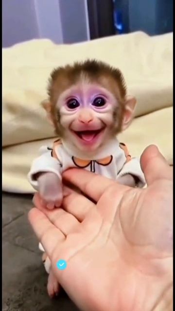 Улыбайтесь😊