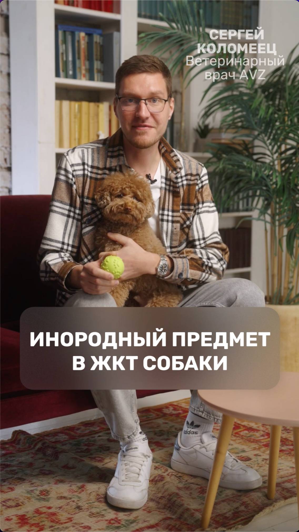 Инородный предмет в ЖКТ собаки