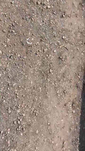 QP12-023689