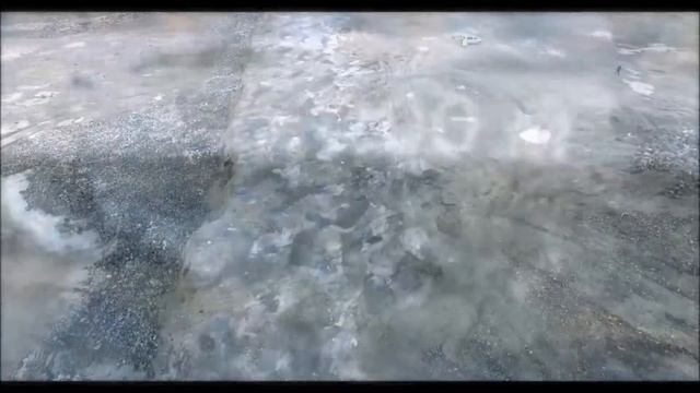 Бехівський спеціалізований кар'єр