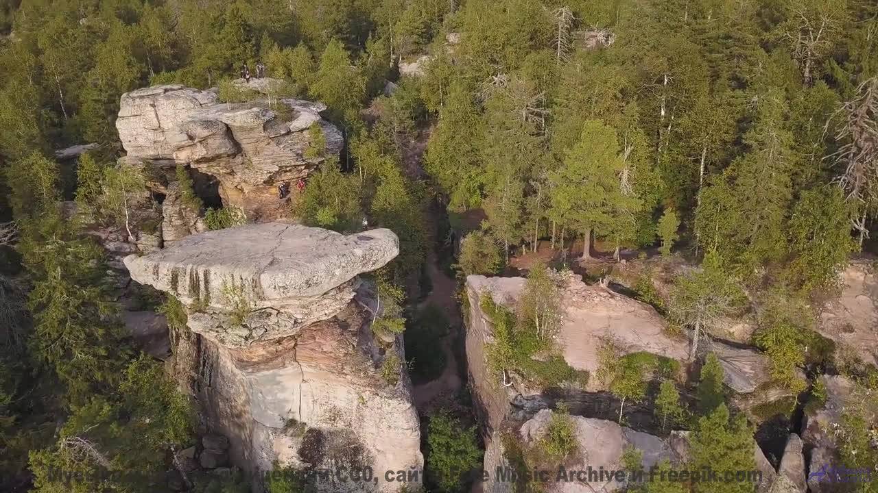 Мелодия, которая заставит вас забыть обо всём, кроме друг друга... - Немые и пресные -- Фиорд -- Нев