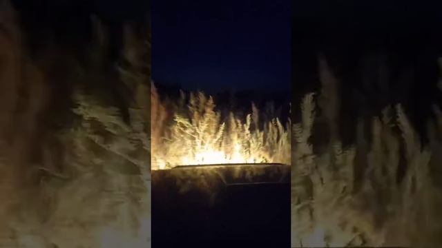 Покатушки по бездорожью на Ваз 21213 Нива