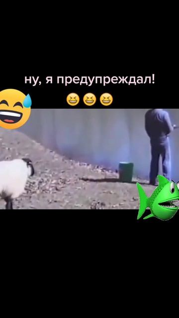 Баран и мужик! 😂🤣😂