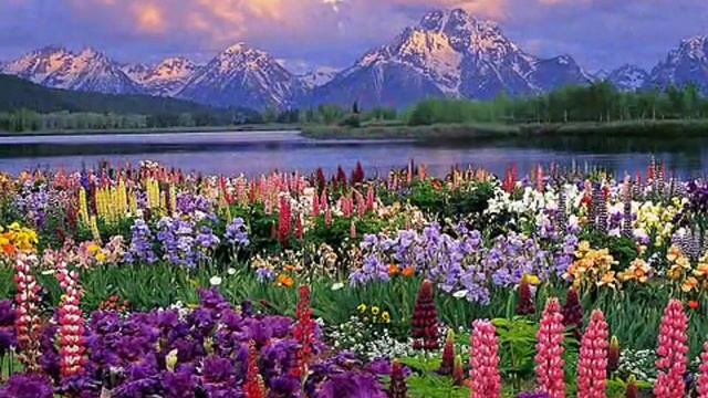 VID_20250516_131343_052.mp4