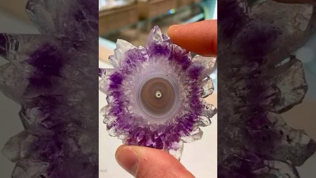VID_20250516_130845_353.mp4
