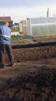 Грядки, как из учебника геометрии.