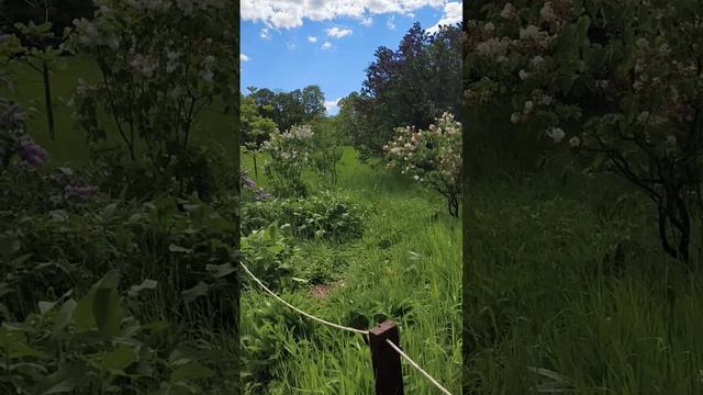 Ботанический Сад в Самаре часть 2
