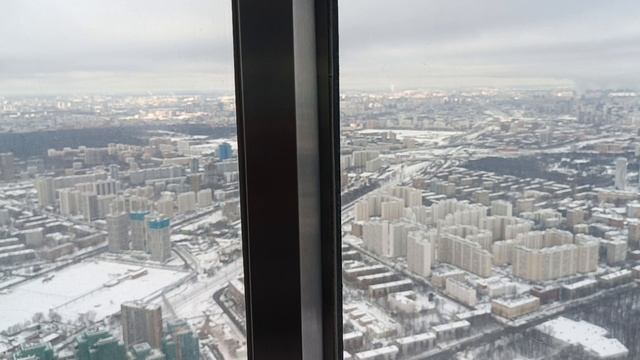 вид с Останкинской башни