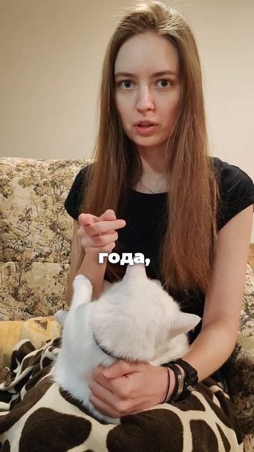 Лето
