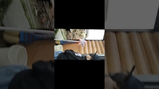 вор принцес часть 2
