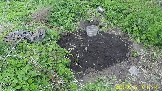 КАК ПРАВИЛЬНО ПОСАДИТЬ ПЕРСИК ЧТОБЫ ОН ЗАЦВЁЛ НА ДРУГОЙ ГОД.