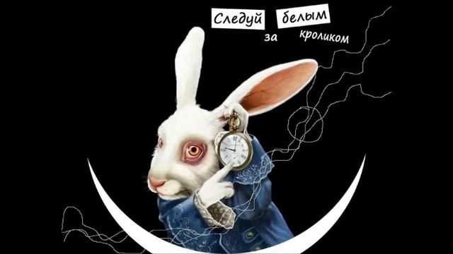 Иди за белым кроликом