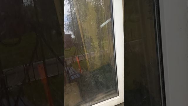 Ты меня слышишь???? \\\НЕТ!!!!😊😊😊😊😊😊😅😅😅😅😅